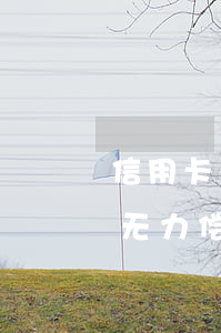 信用卡无力偿还怎么办理停息挂账-信用卡无力偿还怎么办理停息挂账打什么电话申请