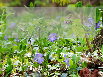 信用卡无力偿还要怎么样处理(信用卡无偿还能力怎么办)