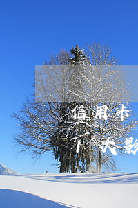 信用卡无意逾期了1次-信用卡无意逾期了1次影响贷款买房吗