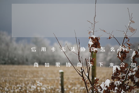 信用卡无法协商怎么办-欠信用卡去银行协商如果协商不下来会扣人吗