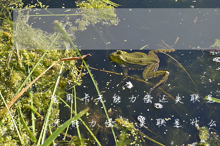 信用卡无能力偿还失联是什么后果-信用卡无能力偿还失联是什么后果呢