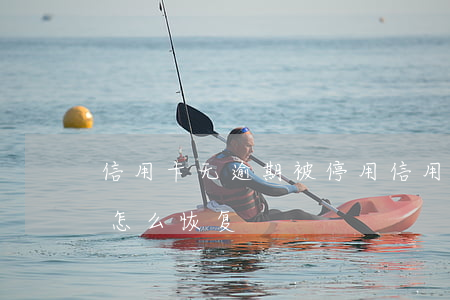 信用卡无逾期被停用(信用卡无逾期被停用了怎么恢复)