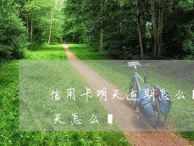 信用卡明天逾期怎么辦(不小心信用卡逾期一天怎么辦)