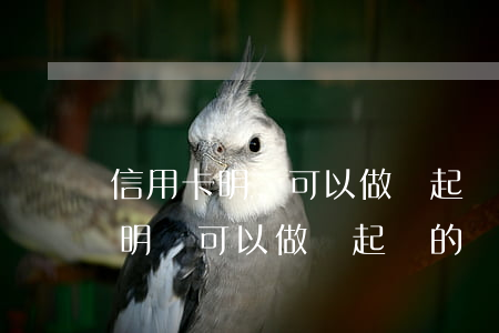 信用卡明細可以做為起訴的憑證嗎-信用卡明細可以做為起訴的憑證嗎怎么查