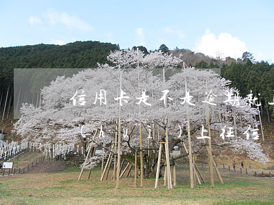 信用卡是不是逾期就上征信(信用卡不逾期會(huì)上征信嗎)