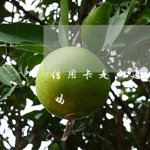 信用卡是只还本金么(还信用卡只能用储蓄卡吗)