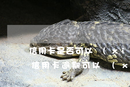 信用卡是否可以協(xié)商免利息還款(信用卡逾期可以協(xié)商免息還款嗎)
