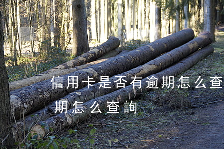 信用卡是否有逾期怎么查詢(信用卡是否有逾期怎么查詢)