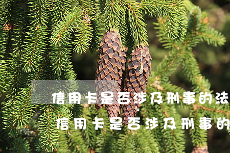 信用卡是否涉及刑事的法律依據(jù)-信用卡是否涉及刑事的法律依據(jù)呢