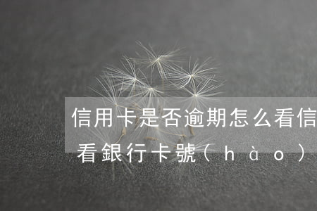 信用卡是否逾期怎么看(信用卡是否逾期怎么看銀行卡號(hào))
