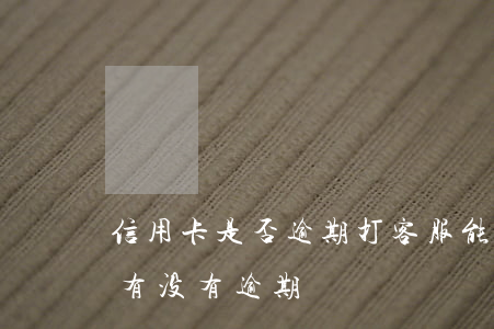 信用卡是否逾期打客服能查吗(如何查信用卡有没有逾期)