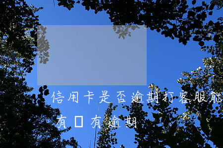 信用卡是否逾期打客服能查嗎(如何查信用卡有沒有逾期)