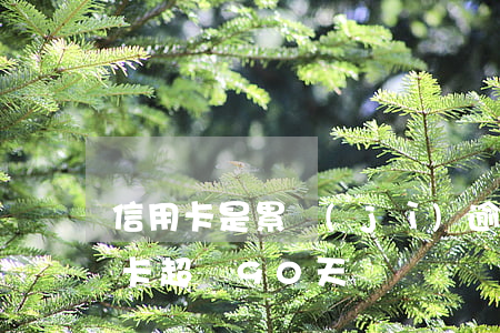 信用卡是累計(jì)逾期90天嗎(欠信用卡超過90天)