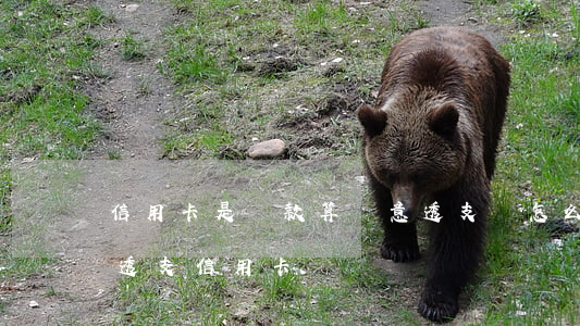 信用卡是貸款算惡意透支嗎(怎么樣算是惡意透支信用卡)