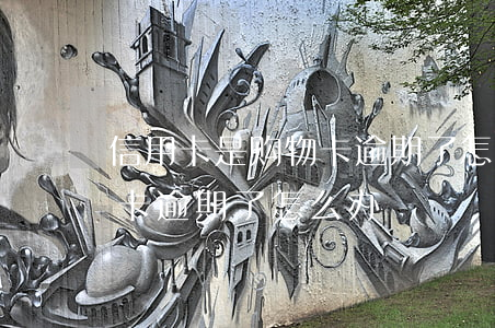 信用卡是购物卡逾期了怎么办(信用卡是购物卡逾期了怎么办)