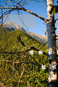 信用卡是逾期之后可以分期還款嗎(逾期之后還能分期嗎)