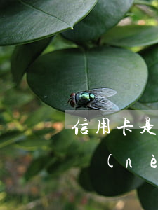 信用卡是逾期多少次不能過(guò)(一年內(nèi)信用卡逾期三次)