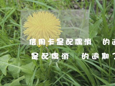 信用卡是配偶消費的逾期了怎么辦-信用卡是配偶消費的逾期了怎么辦理