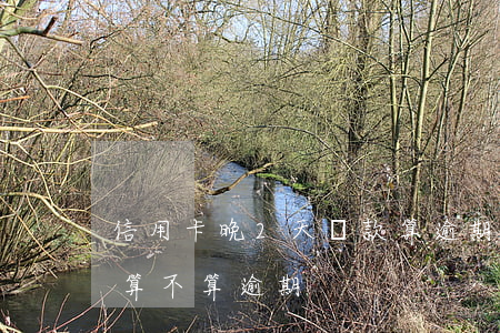 信用卡晚2天還款算逾期么(晚還4天信用卡算不算逾期)
