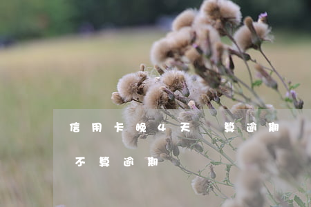 信用卡晚4天還算逾期嗎(信用卡遲四天還算不算逾期)