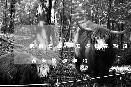 信用卡晚一天还算逾期吗建设(还信用卡晚了两天算逾期吗)