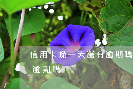 信用卡晚一天還有逾期嗎(信用卡晚一天還有逾期嗎)