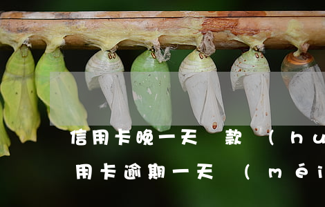 信用卡晚一天還款會(huì)逾期嗎(還信用卡逾期一天沒(méi)事吧)