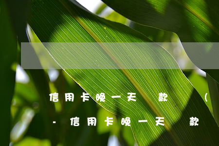 信用卡晚一天還款會導(dǎo)致逾期嗎-信用卡晚一天還款會導(dǎo)致逾期嗎怎么辦