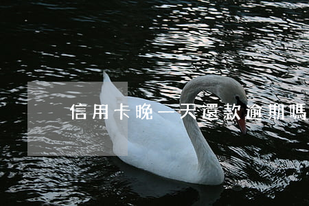 信用卡晚一天還款逾期嗎(信用卡晚一天還款)