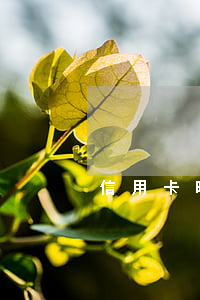 信用卡晚三分鐘還款算逾期嗎