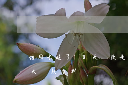 信用卡晚了10天還款是否逾期(信用卡遲十天還款有影響嗎)