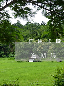 信用卡晚了5天算逾期嗎(信用卡遲還5天算逾期嗎)