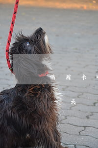 信用卡晚了一天還款會(huì)逾期(遲了一天還信用卡的款會(huì)怎樣)