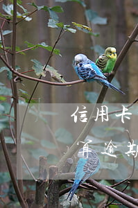 信用卡晚了三天还算逾期吗(信用卡晚3天还算逾期吗)