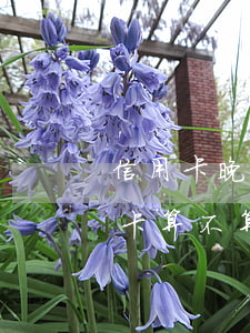 信用卡晚了五天還款算逾期么(晚還4天信用卡算不算逾期)