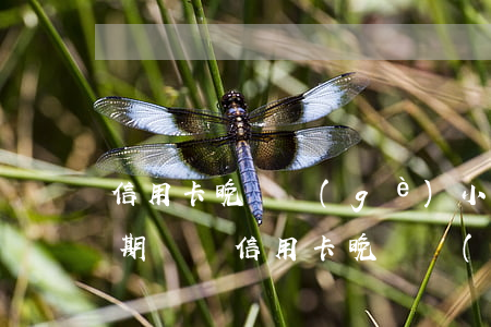信用卡晚兩個(gè)小時(shí)算逾期嗎嗎（信用卡晚兩個(gè)小時(shí)算逾期嗎）