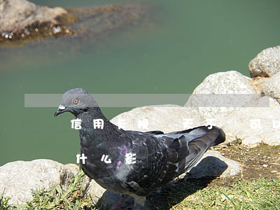 信用卡晚兩天不還可以嗎(信用卡晚還兩天有什么影響?)