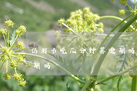 信用卡晚几分钟算逾期吗(信用卡3天内算逾期吗)