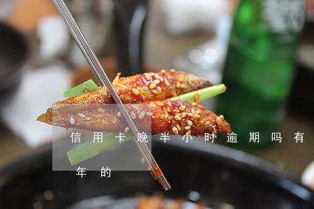 信用卡晚半小时逾期吗(有没有信用卡逾期半年的)