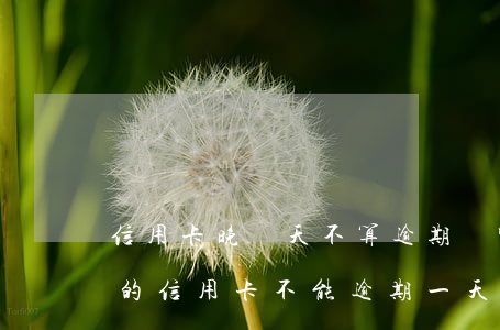 信用卡晚幾天不算逾期嗎 哪個(gè)銀行的信用卡不能逾期一天