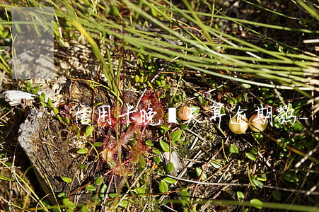 信用卡晚幾天算逾期嘛-信用卡 晚了一天