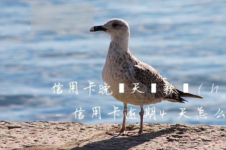 信用卡晚幾天還款會(huì)影響信用嗎-信用卡逾期4天怎么補(bǔ)救