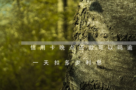 信用卡晚点还款可以吗逾期一天(还信用卡晚一天扣多少利息)