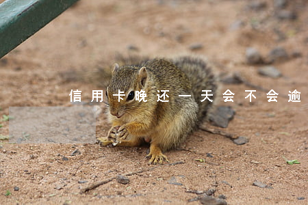 信用卡晚还一天会不会逾期