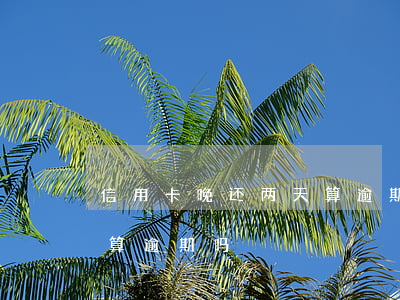 信用卡晚还两天算逾期嘛(还信用卡晚了两天算逾期吗)