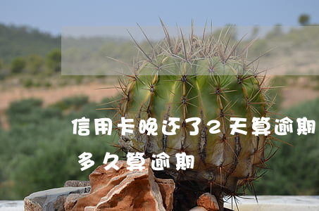 信用卡晚还了2天算逾期吗(信用卡2天没还多久算逾期)
