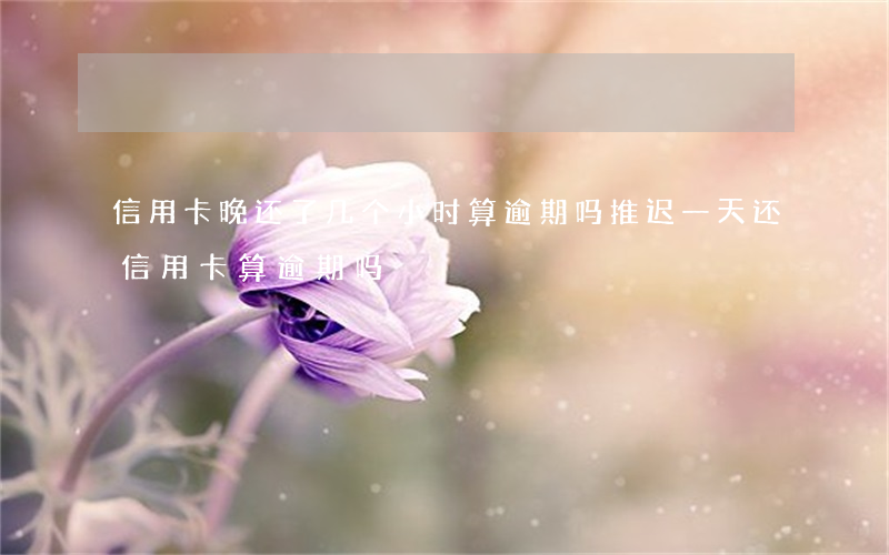 信用卡晚还了几个小时算逾期吗(推迟一天还信用卡算逾期吗?)