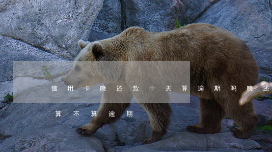 信用卡晚还款十天算逾期吗(晚还4天信用卡算不算逾期)