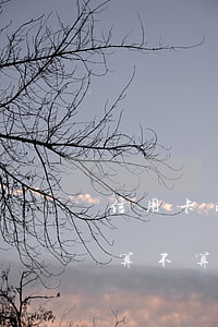 信用卡晚还款和逾期的区别(信用卡晚还一天算不算逾期)