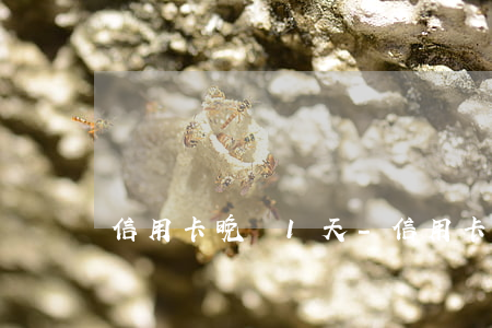 信用卡晚還1天-信用卡晚還1天算逾期嗎